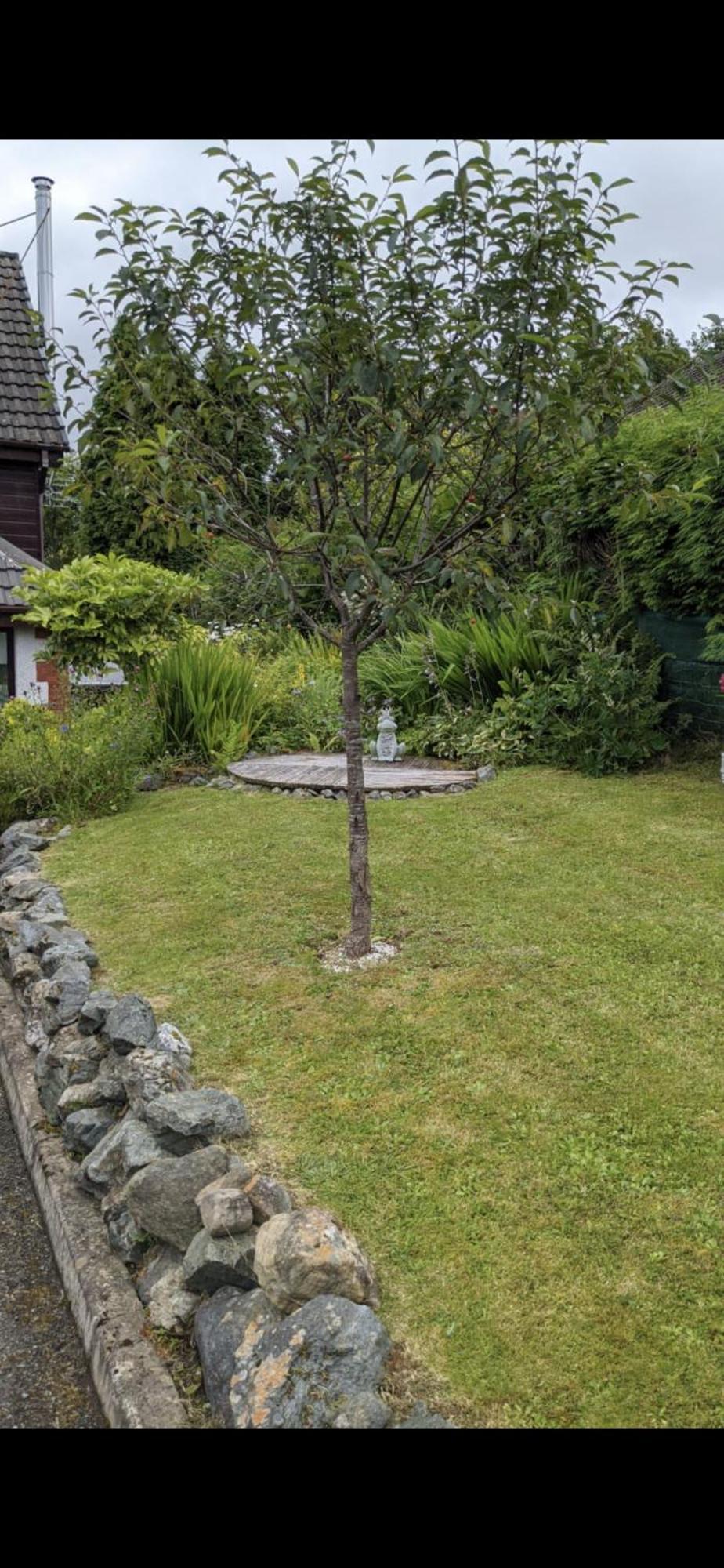 Contemporary Highland House Close To Town And Ben Nevis Fort William Luaran gambar
